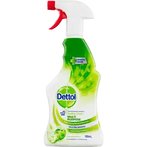 Dettol Healthy Clean Multipurpose Trigger Crisp Apple 500ml
