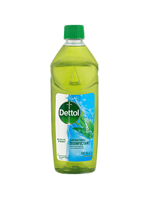Dettol Antibacterial Disinfectant Eucalyptus